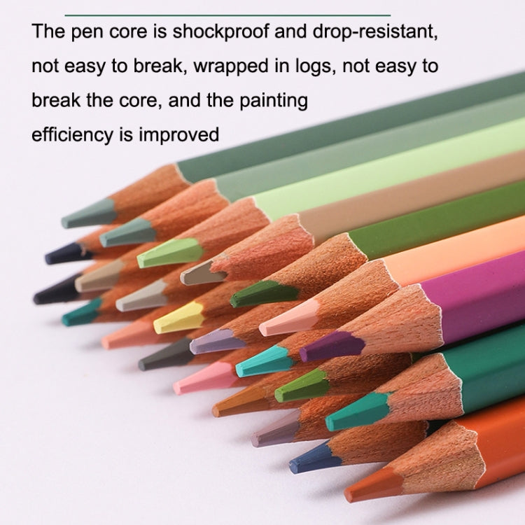 36 Colors Oily Bright Color Pencil Studio Special Set Macaron