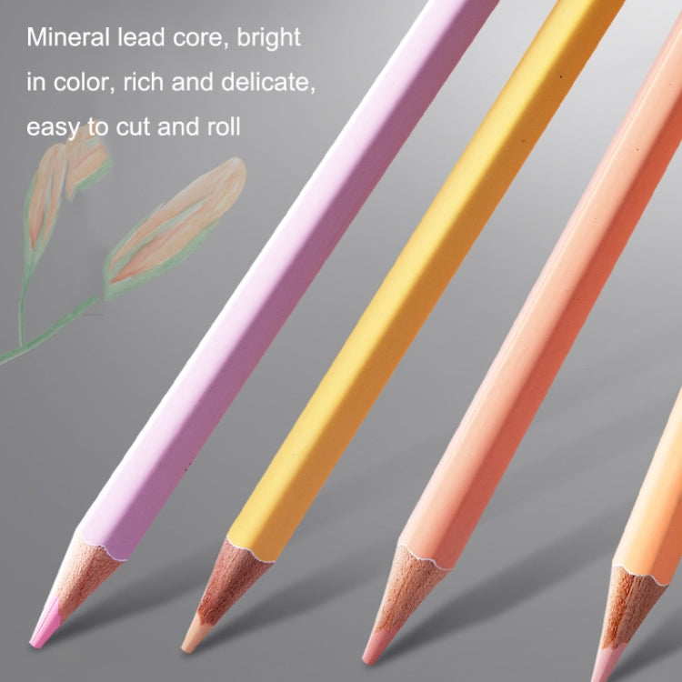24 Colors Oily Bright Color Pencil Studio Special Set Macaron