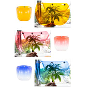 Motorcycle Helmet Three-Button Windproof Lens With Bracket(Rainbow)