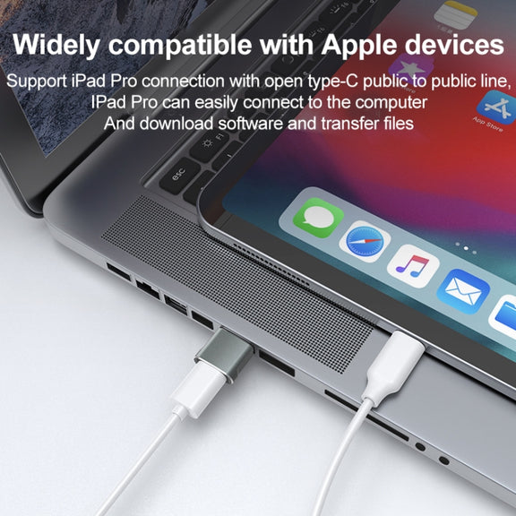 USB 2.0 Male To USB-C / Type-C Female Adapter, Support Charging & Transmission Data(Silver)