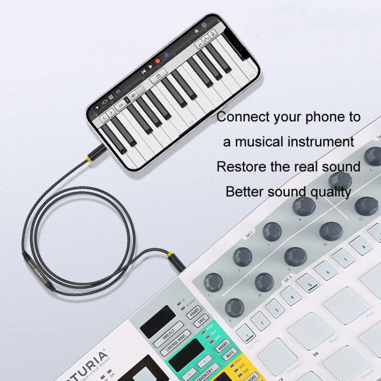 1m JINGHUA 3.5mm Cable Audio Conversion Microphone Two-way Transcriber