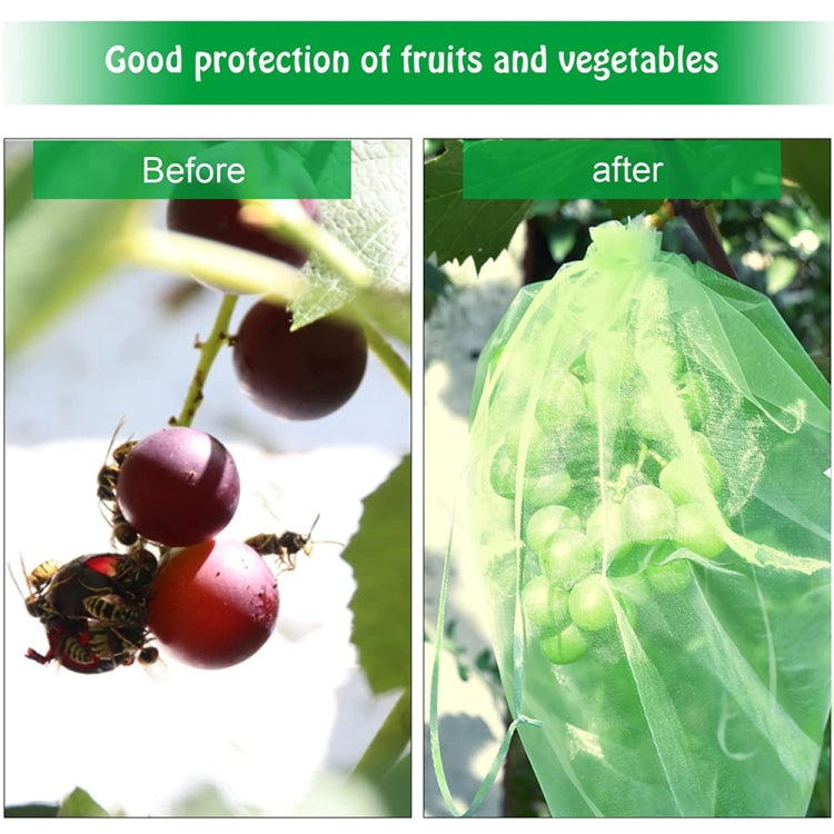 100pcs /Pack  Fruit Protection Bag Anti-Insect And Anti-Bird Net Bag 15 x 20cm(White)