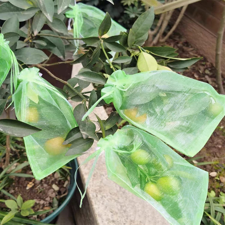 100pcs /Pack  Fruit Protection Bag Anti-Insect And Anti-Bird Net Bag 13 x 18cm(Gold)
