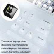 100 Keys Customized Gaming Wired Mechanical Keyboard Transparent Keycap Green Shaft (Black)