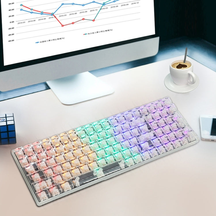 100 Keys Customized Gaming Wired Mechanical Keyboard Transparent Keycap Red Shaft (White)