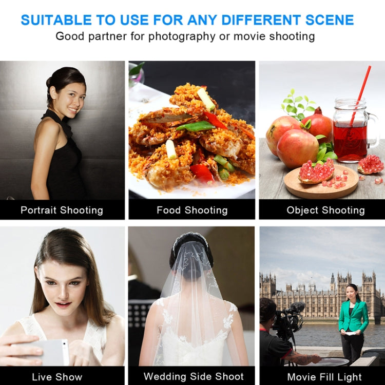 Pixel P50 Dual Color Temperature Flat Panel Fill Light 45W Soft Outdoor Shooting Fill Light For Straight Photography(Lamp+US Plug Adapter)
