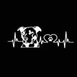 10pcs Pitbull Love Car Sticker Car Rear Modification Plate Label(White) - Decorative Sticker by PMC TechLife | Online Shopping South Africa | PMC TechLife | Buy Now Pay Later Mobicred
