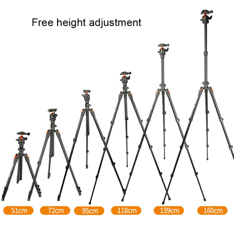TRIOPO K268+KJ36 DSLR Tripod Photography Stand Portable Cell Phone Micro SLR Tripod