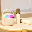Havit P1 Portable Singing Home Wireless Bluetooth Speaker Microphone Set, Style: Dual-microphone - free shipping - PMC TechLife - Order now!