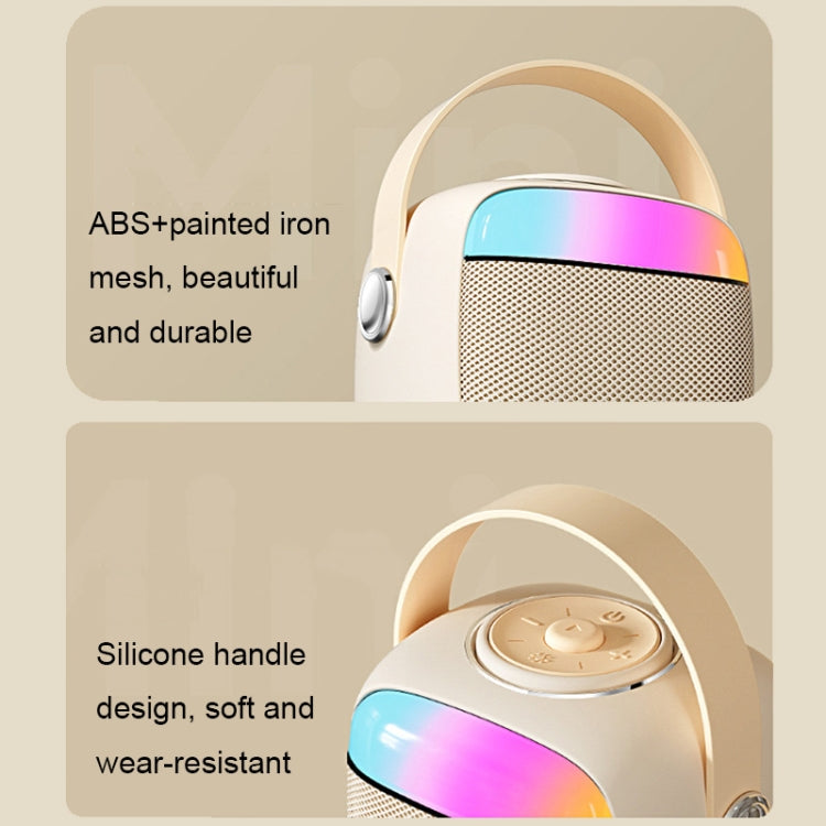 Havit P1 Portable Singing Home Wireless Bluetooth Speaker Microphone Set, Style: Dual-microphone