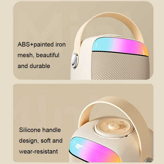 Havit P1 Portable Singing Home Wireless Bluetooth Speaker Microphone Set, Style: Dual-microphone