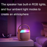 Havit P1 Portable Singing Home Wireless Bluetooth Speaker Microphone Set, Style: Dual-microphone