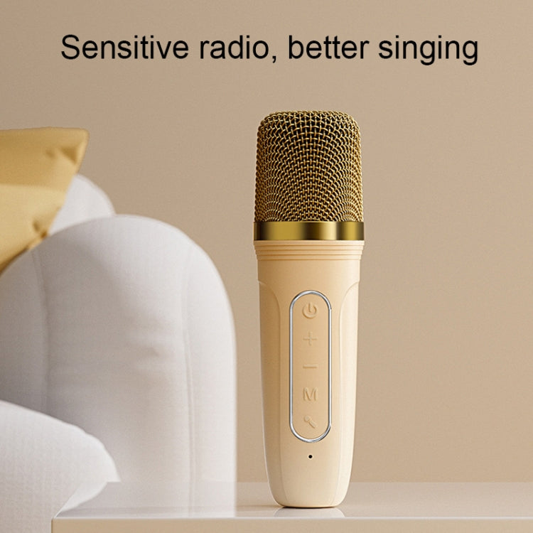 Havit P1 Portable Singing Home Wireless Bluetooth Speaker Microphone Set, Style: Dual-microphone