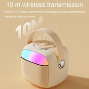 Havit P1 Portable Singing Home Wireless Bluetooth Speaker Microphone Set, Style: Dual-microphone