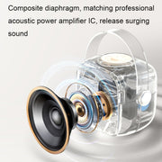 Havit P1 Portable Singing Home Wireless Bluetooth Speaker Microphone Set, Style: Dual-microphone