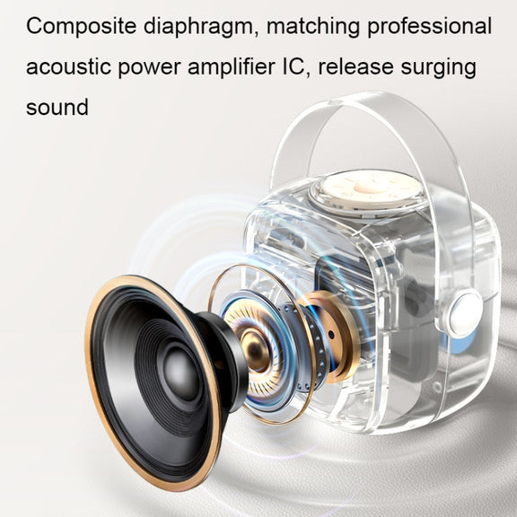 Havit P1 Portable Singing Home Wireless Bluetooth Speaker Microphone Set, Style: Dual-microphone