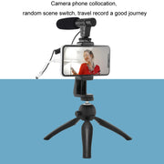 Video Recording Live Camera Mobile Conference Recording Microphone(Black)
