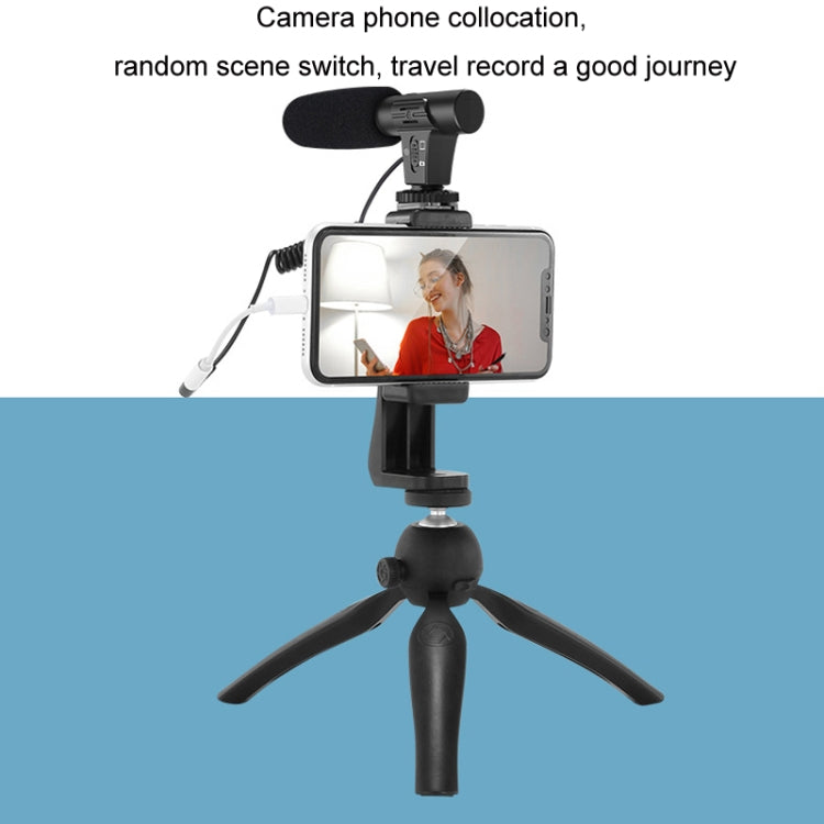 Video Recording Live Camera Mobile Conference Recording Microphone(Black)