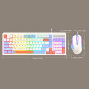 K-Snake Wired E-Sports Keyboard Mouse Mechanical Feel 98 Key Desktop Computer Notebook Keyboard, Style: Single Keyboard (Gray)