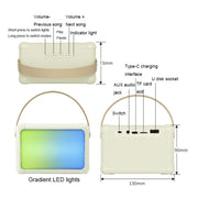 Portable RGB Lighting Effect Bluetooth Speaker Home Mini Karaoke Audio, Style: Single Microphone+Speaker(Pink)
