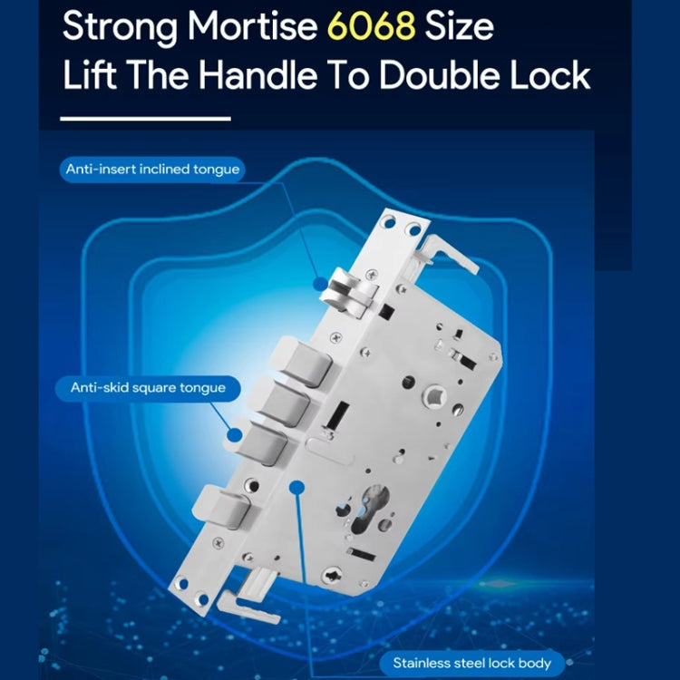 A60 Smart Fingerprint Password Door Lock With Doorbell, Spec: Basic Version Gray