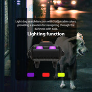 Electronic Remote Control Dog Training Device Pet Training Shock Collar, Specification: Receiver