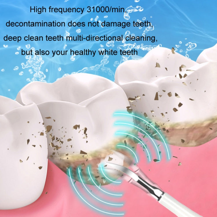 Electric Dental Scaler Accessories Replacement Head, Color: 5pcs Toothbrush Head White