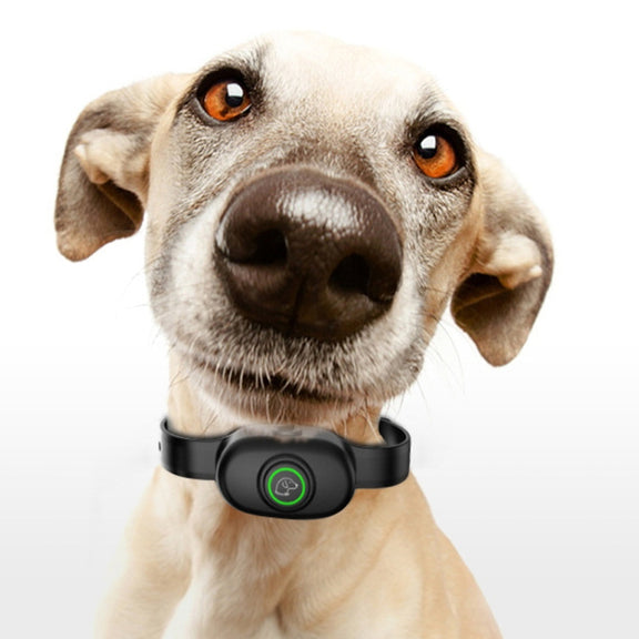 Auto Stop Barker Pet Shock Collar Dog Trainer(Orange)