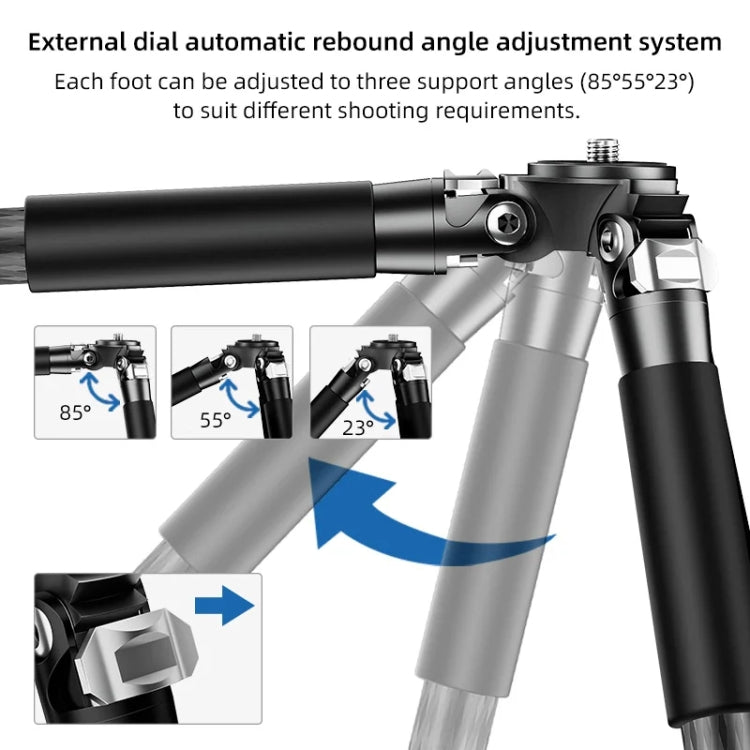 BEXIN RC254 Carbon Fiber Portable Folding Tripod SLR Camera Low Gravity Center Gimbal Photography Bracket