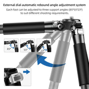 BEXIN RC254+LH-28 Carbon Fiber Portable Folding Tripod SLR Camera Low Gravity Center Gimbal Photography Bracket