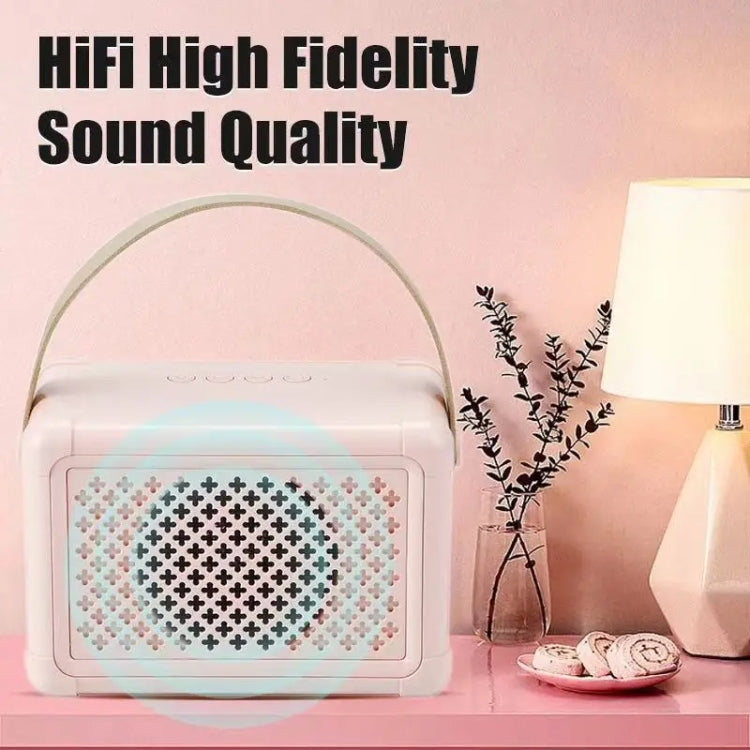 Portable Bluetooth Speaker Home Mini Karaoke Audio, Style: Dual-Microphone+Speaker(Pink)