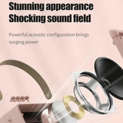 Portable Bluetooth Speaker Home Mini Karaoke Audio, Style: Dual-Microphone+Speaker(Pink)