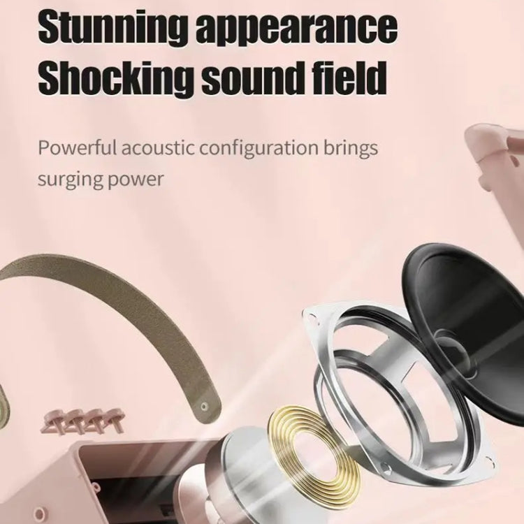 Portable Bluetooth Speaker Home Mini Karaoke Audio, Style: Dual-Microphone+Speaker(Pink)