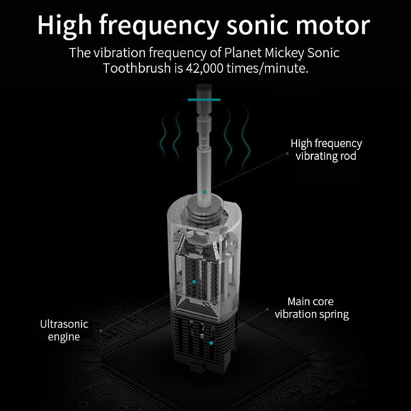 Rechargeable Ultrasonic Soft Bristle Electrical Toothbrushes Flosser 6 Gear With 4 Brushes(Black)