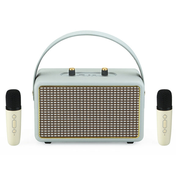 Leather Texture Portable Wooden Home Karaoke Bluetooth Speaker, Color: Gray+Dual-microphone