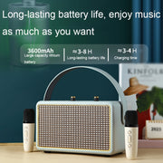 Leather Texture Portable Wooden Home Karaoke Bluetooth Speaker, Color: Gray+Dual-microphone
