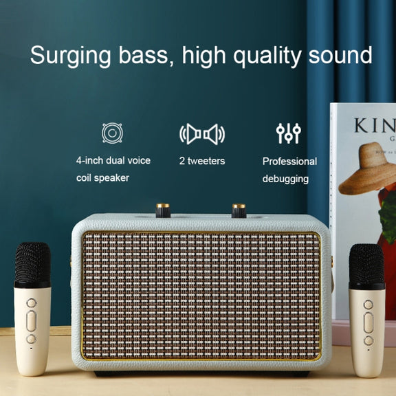 Leather Texture Portable Wooden Home Karaoke Bluetooth Speaker, Color: Gray+Dual-microphone