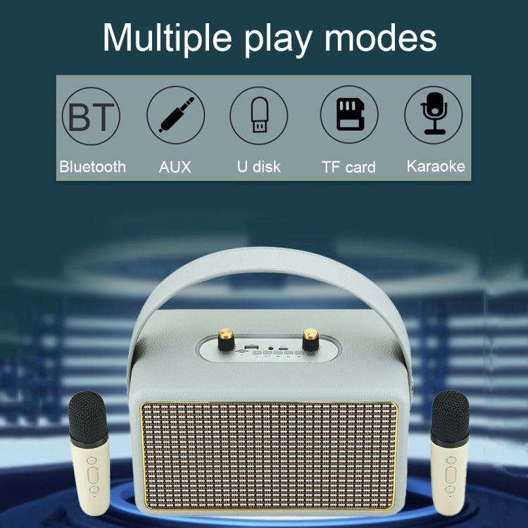 Leather Texture Portable Wooden Home Karaoke Bluetooth Speaker, Color: Gray+Dual-microphone
