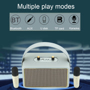 Leather Texture Portable Wooden Home Karaoke Bluetooth Speaker, Color: Gray+Dual-microphone