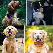 LED Display Pet Collar Rechargeable High Visibility DIY Single Color Collar(Red)