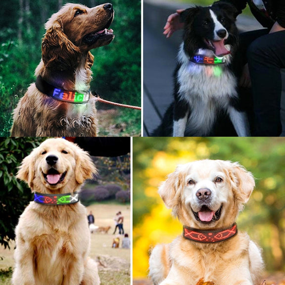 LED Display Pet Collar Rechargeable High Visibility DIY Single Color Collar(Green)