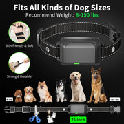Color Screen Dragon Two Remote Control Pet Electric Shock Circular Dog Trainer(Black)