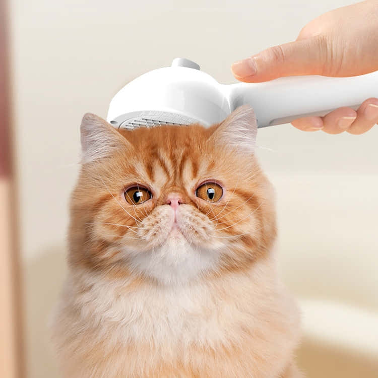 RK56 USB Charging Spray Pet Grooming Comb Cat and Dog Hair Removal Tool Pet Products(White)