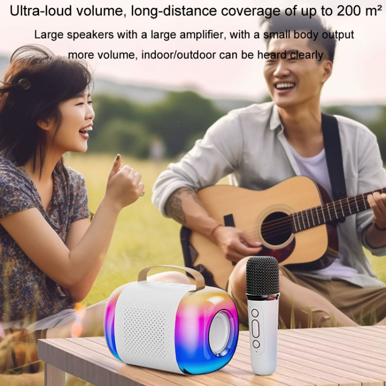 Y5 1 Microphone Portable Bluetooth Speaker Home And Outdoor Wireless Karaoke Audio(Pink)