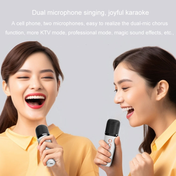Y5 1 Microphone Portable Bluetooth Speaker Home And Outdoor Wireless Karaoke Audio(Pink)