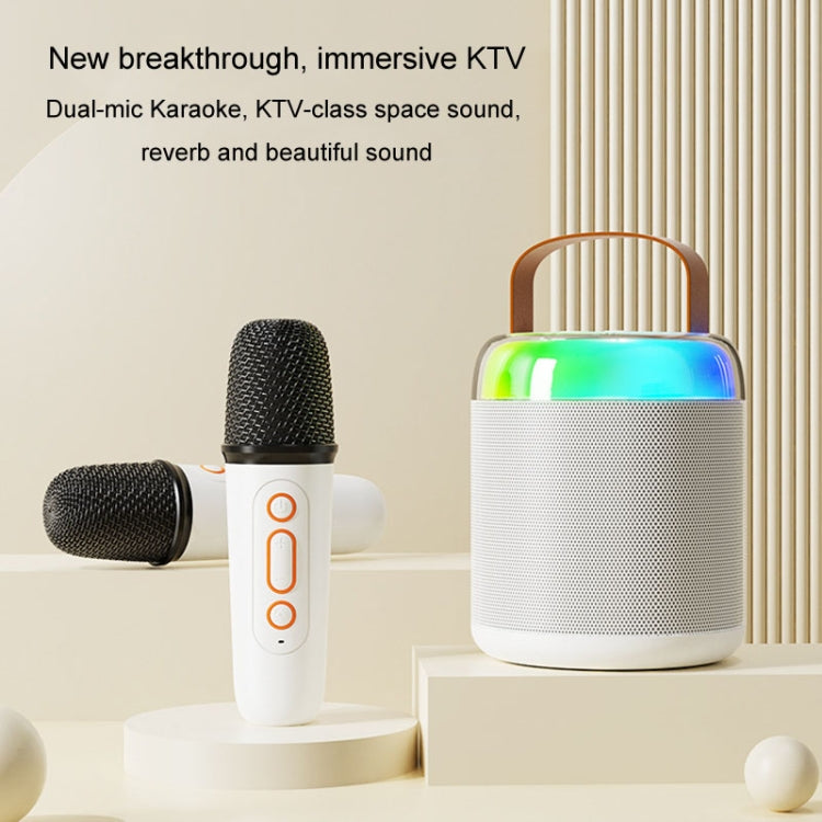 Home Portable Bluetooth Speaker Small Outdoor Karaoke Audio, Color: Y1 Black(Double wheat)