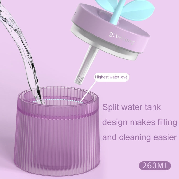 Flower Spray Hhydrating Colorful Atmosphere Light USB Aromatherapy Humidifier, Color: Sunflower Pink