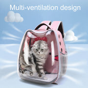 Cartoon Pattern Cat Transparent Pet Bag Space Capsule Portable Pet Backpack, Color: Pink