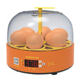 6-Eggs Small Household Experimental Children Smart Chicken Incubators, Spec: Manual US Plug - Incubators by PMC TechLife | Online Shopping South Africa | PMC TechLife | Buy Now Pay Later Mobicred