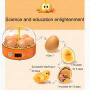 6-Eggs Small Household Experimental Children Smart Chicken Incubators, Spec: Manual US Plug